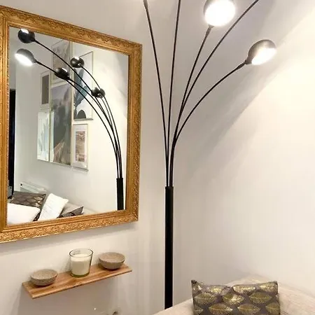 Appartement Coeur Centre - Charme De L'ancien Grenoble