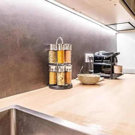 公寓 Coeur Centre - Charme De L'ancien 格勒诺布尔