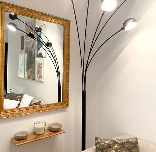 公寓 Coeur Centre - Charme De L'ancien 格勒诺布尔